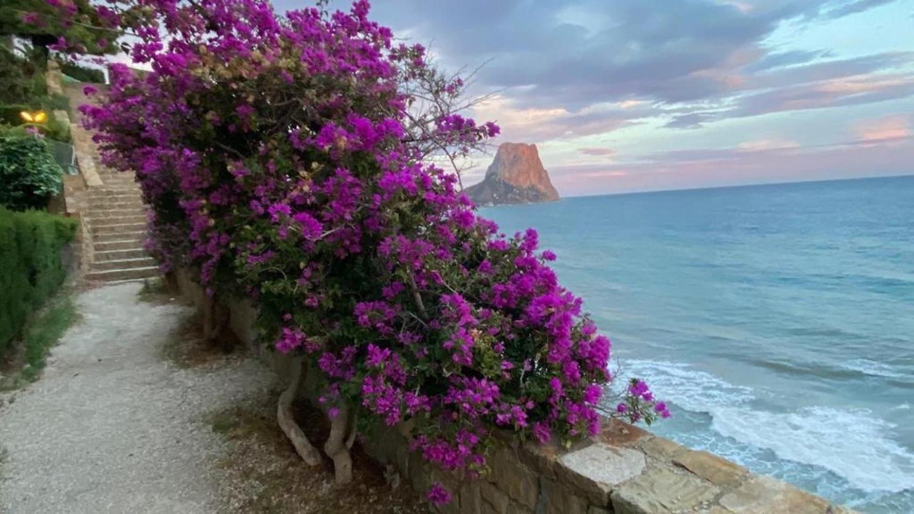 Timora Sea View New Apart' Hipocampos Calpe Luaran gambar